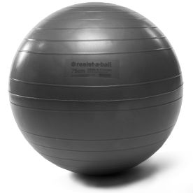Silver RAB 75cm Resist-A-Ball Stability Ball