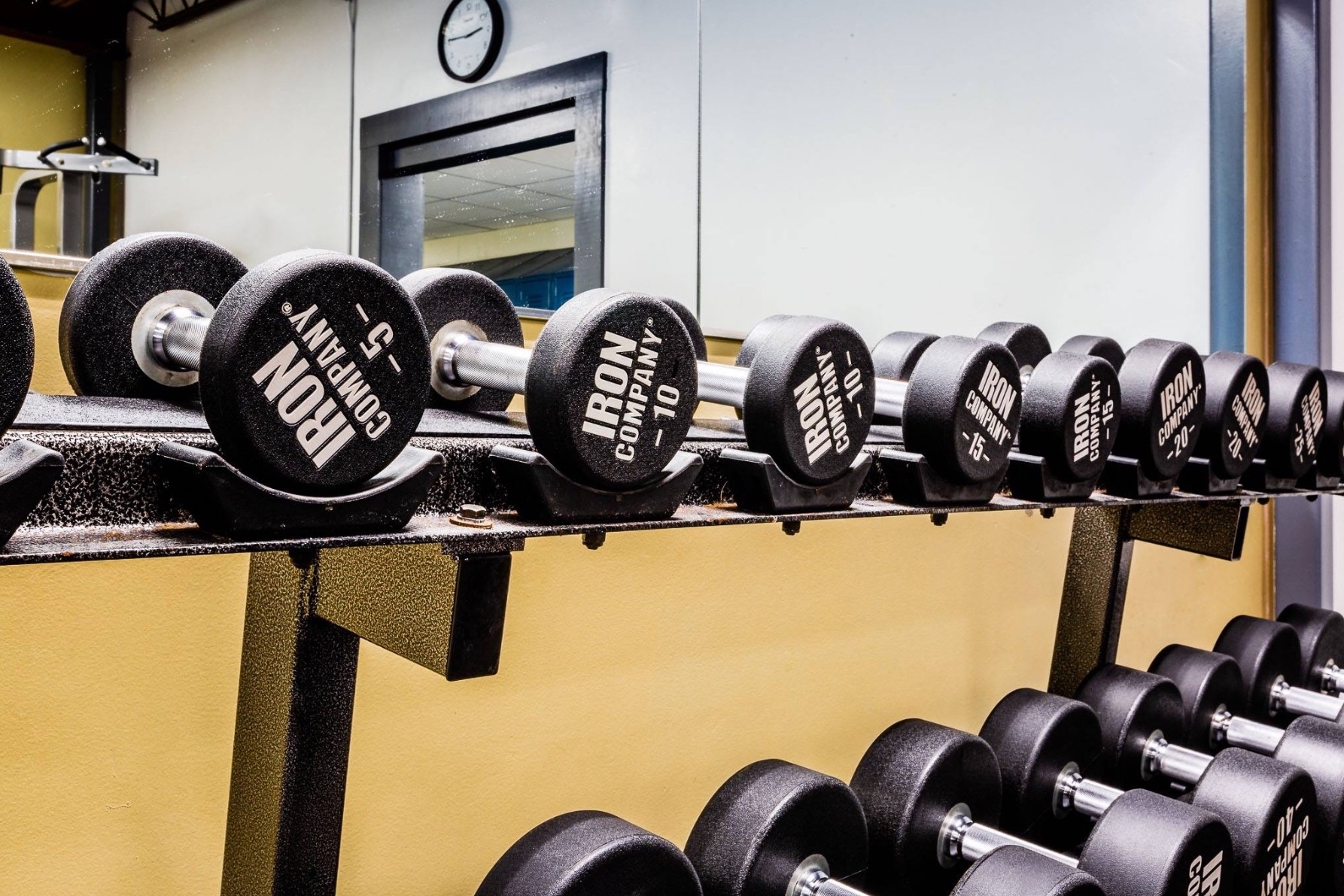 Solid Steel Urethane Dumbbells for once-a-week strength training