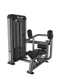 Elite Plus Rotary Torso Machine by Muscle D Fitness, Featuring a Durable 11-Gauge Steel Frame and Inner Thigh Pad for Effective Oblique and Core Muscle Training in Gyms