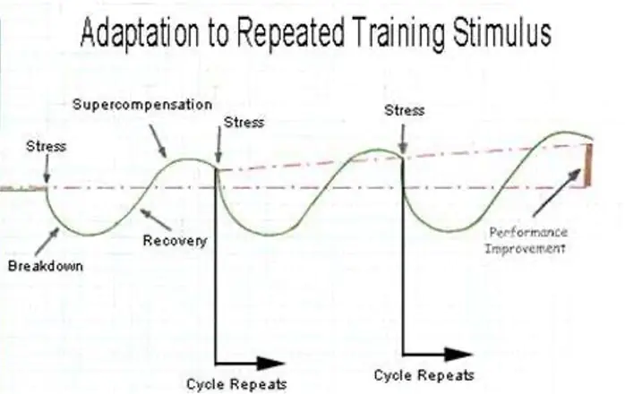 Adaptation to repeated weight training stimulus and recovery curve