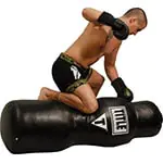 Cross Training / Boxing / MMA