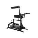 Arsenal Reloaded Posterior Chain Developer | Arsenal (1501)