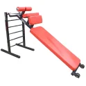 Sit-Up Bench Ladder Station | Legend Fitness (3176)