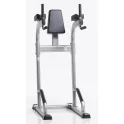 Evolution Light Commercial Vertical Knee Raise / Dip / Push Up Stand -- Tuff Stuff (CVR-341)
