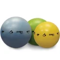 Self-Guided SMART Stability Balls | Prism Fitness Group (400-150-SB)