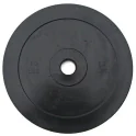 Technique Training Plates - 10 lb (Pair) | Ironcompany (WTP-10)