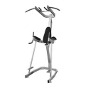 Vertical Knee Raise with Pull Up Station - Muscle D Fitness (FW-KRP)