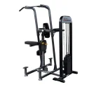 Weight Assisted Chin and Dip Machine | Body-Solid (FCD-STK)