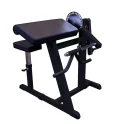 Cam Series Biceps and Triceps Machine | Body-Solid (GCBT380B)