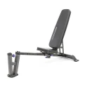 BodyCraft F704 F/I/D Dumbbell Bench | BodyCraft (F704)