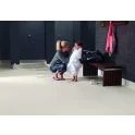 HydroGrip Motivate Slip Resistant Rolls | ECORE (HYDROGRIP)