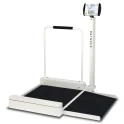 Stationary Wheelchair Scale (LBS) | Detecto (6495-AC)
