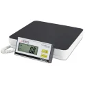 Visiting Nurse Scale | Detecto (DR400C)