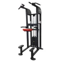 SelectEDGE Dip / Chin Assist Combo | Legend Fitness (1122)