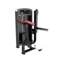 Glute - Muscle D Fitness (S-E-G)