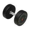 American Barbell DBAB1 Series I Commercial Dumbbells with Splined Handles