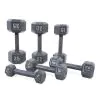 CAP Barbell SDG Cast Iron Hex Dumbbells for Home Gyms