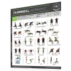 Fighthrough Fitness Workout Chart for Dumbbell Full Body Workout