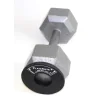 PlateMate 1.25 lb. Magnetic Donut Pair for all types of dumbbells