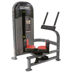 SelectEDGE Torso Rotation | Legend Fitness (1116)