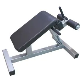 Mini Sit-Up Bench | Legend Fitness (3116)