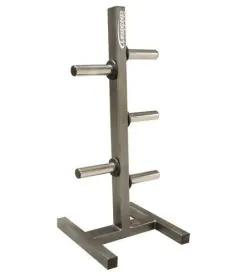 Legend Fitness 3193 Olympic Peg Plate Holder for Commercial Gyms