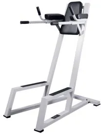 York Barbell ST Vertical Knee Raise with Dip Handles in Black Upholstery and White Frame