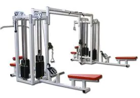 Legend Fitness 959 Eight Weight Stack Combo Commercial Jungle Gym