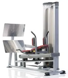 Leg Press/Hack Squat