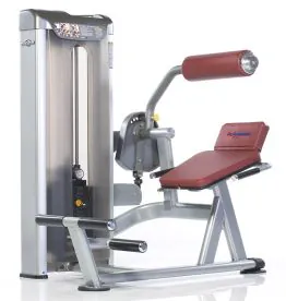 Tuff Stuff PPS-221 Selectorized Proformance Plus Back Extension