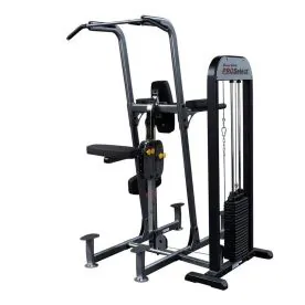 Body-Solid FCD-STK Weight-Assisted Chin and Dip Machine – Commercial-Grade Pull-Up, Dip, and Core Training Station with 210 lb. Weight Stack and Durable Steel Frame