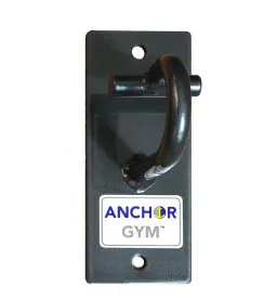 Core Energy Fitness ANCHOR-GYM H1 Single Unit with One Resistance Band Hook