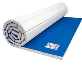 Home Training Mat by Zebra Mats