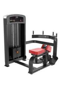 Elite Selectorized Rotary Torso Machine | Muscle D Fitness (S-E-RT)