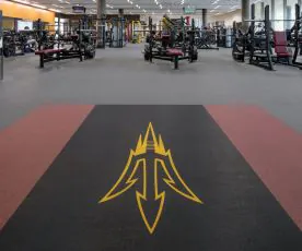 Performance Beast Plus Rolled Gym Flooring  ECORE (PERFORMANCE-BEAST-PLUS)