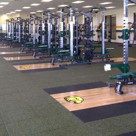 Oak Inset Platform (4′ x 8′) | Legend Fitness (3223-8) *Weights NOT Included