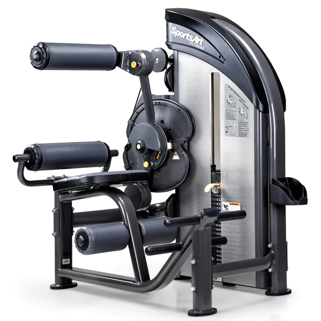 SportsArt DF206 Selectorized Low Back Extension / Abdominal Crunch Machine
