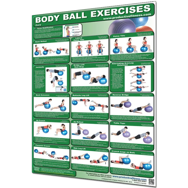 Productive Fitness Exercise Chart for Body Ball Core Exercises