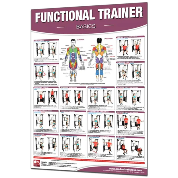Productive Fitness Functional Trainer Workout Chart for Basic Exercises