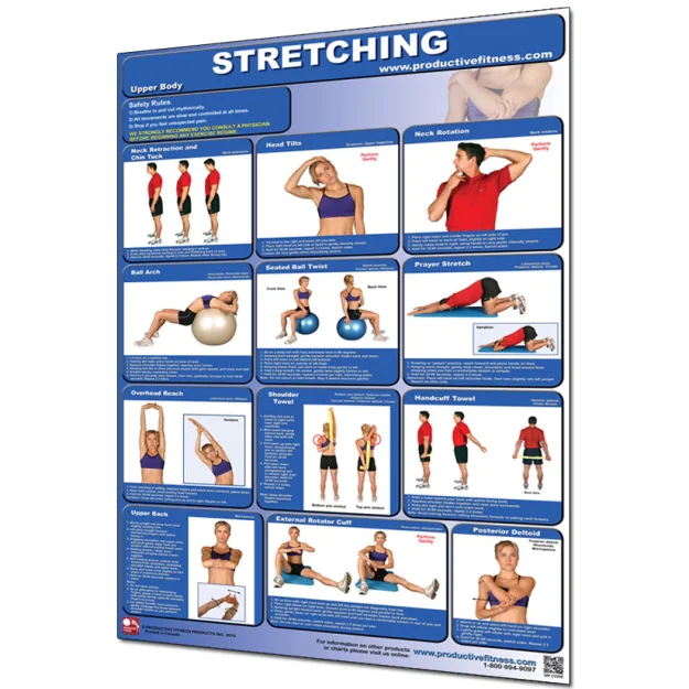 Productive Fitness Laminated Wall Chart for Upper Body Stretching
