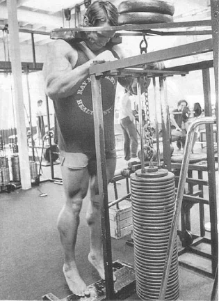 Arnold Schwarzenegger training calves on a standing calf raise machine Bodybuilder Arnold Schwarzenegger performs a calf workout on a standing calf machine to build and strengthen his calf muscles.