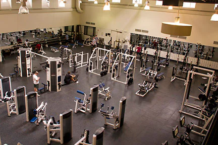 Fitness Equipment