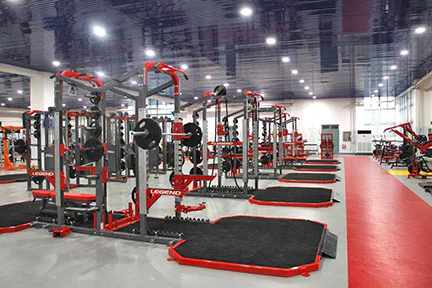 Strength Equipment