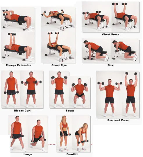 Iron hex dumbbell exercises for home and commercial gyms