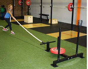 IRON COMPANY three post push pull sled