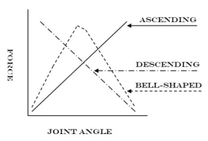 Rubber resistance band strength curve chart