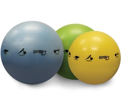 Prism Fitness self-guided Smart Stability Ball