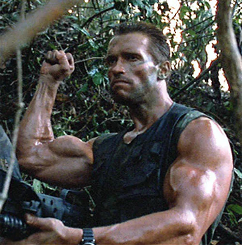Bodybuilder flexing biceps for novice arm training article