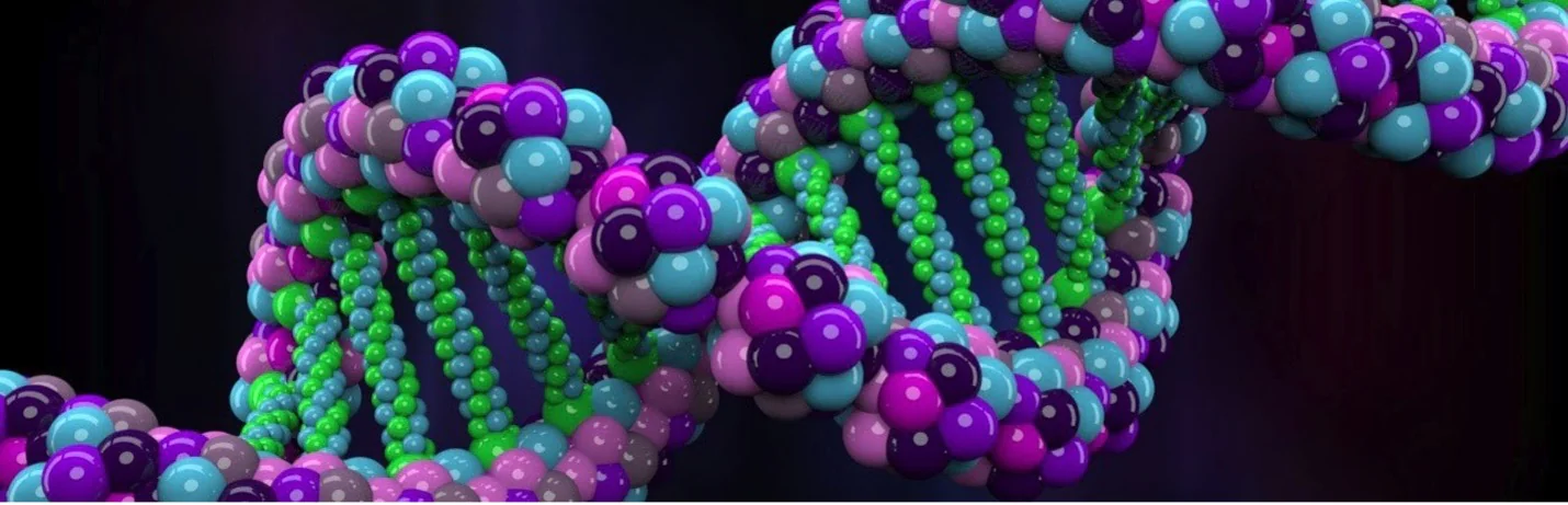 Human DNA strand for lifespan and resilience article