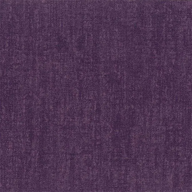 Baller Rally Class 2 Purple